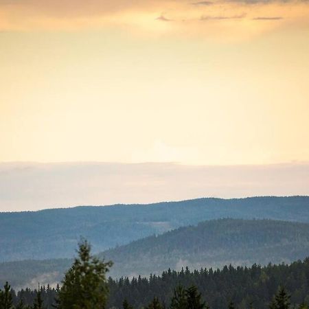 Вилла Langroesta; Ruime Blokhut Grenzend Aan Bos Хагфорс Экстерьер фото