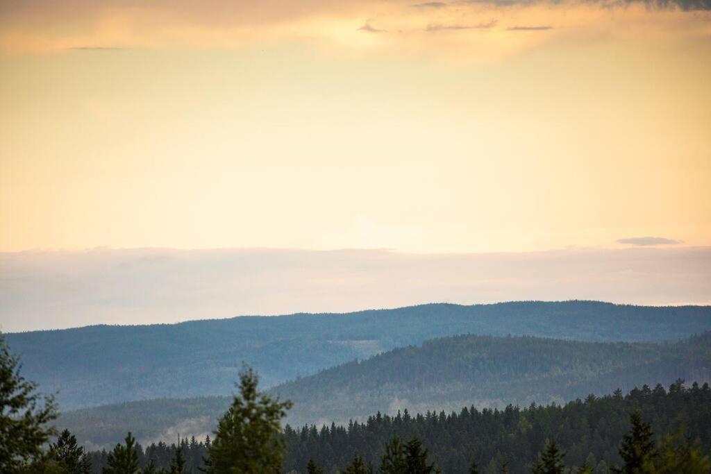Вилла Langroesta; Ruime Blokhut Grenzend Aan Bos Хагфорс Экстерьер фото