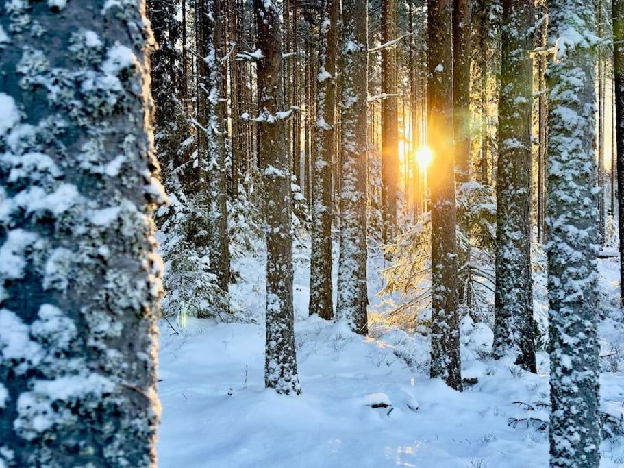 Вилла Langroesta; Ruime Blokhut Grenzend Aan Bos Хагфорс Экстерьер фото